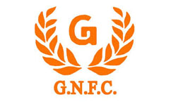 Gujarat Narmada Fertilizer (GNFC)